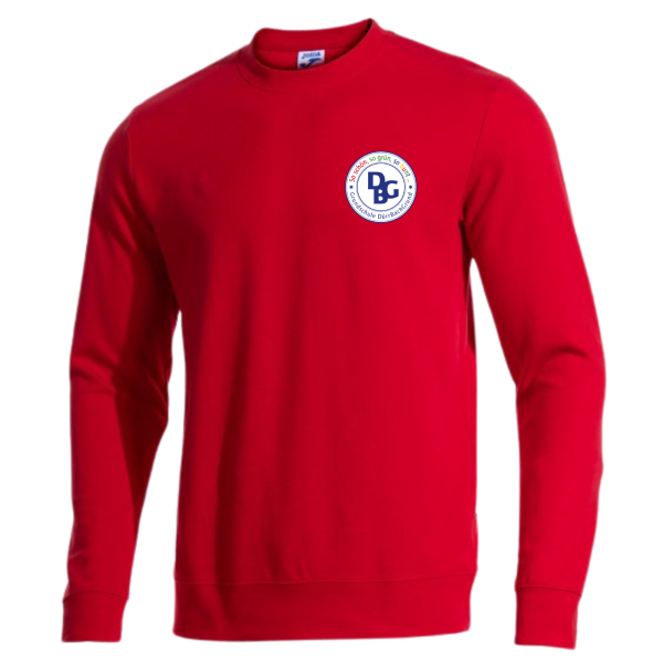 Sweatshirt Marine, Rot, Blau oder Grün mit Logo